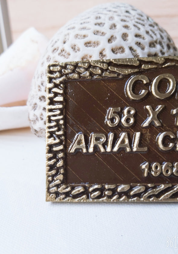 Placa Urna y/o Nicho Bronce Coral